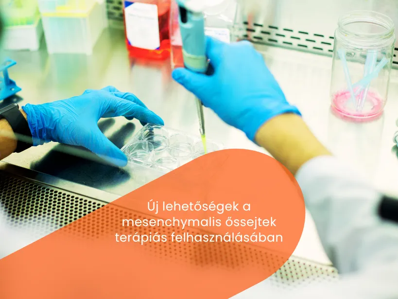 mesenchymalis_ossejtek