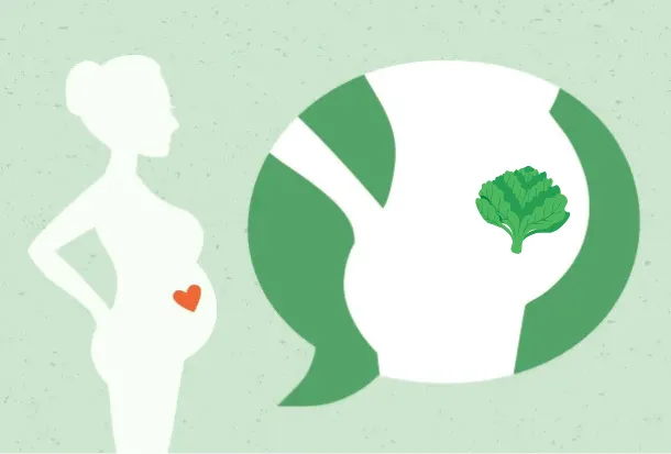 26-terhességi-het-mi-tortenik-a-babaval-es-a-kismama-szervezetevel