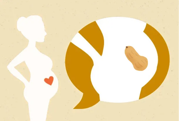 29-terhessegi-het-a-baba-fejlodesenek-legintenzivebb-idoszaka