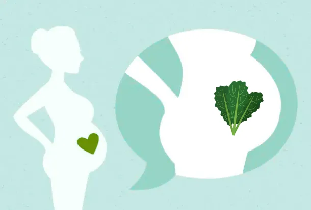 32-terhessegi-het-a-visszaszamlalas-es-az-eres-idoszaka