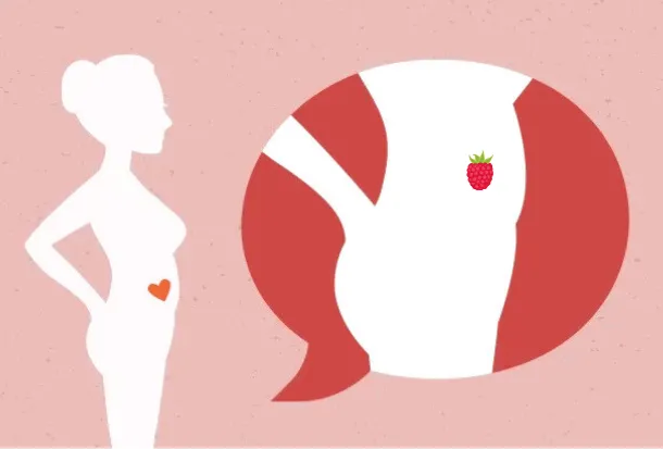 8-terhessegi-het-tunetek-folyamatok-es-a-baba-fejlodese